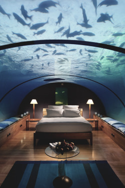 gent-uk:   Conrad Maldives Underwater Hotel  Oh yes ……  ….maybe
