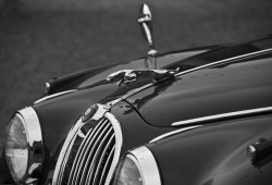 nicolaonions:  Went to see Inspector Morse’s Jag on display