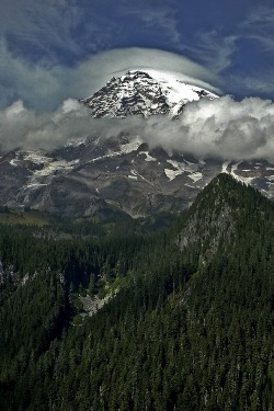 ponderation:  Mt Rainier by John Farrell  