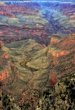 “Bright Angel” Grand Canyon National Parkfrom my