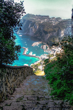 italian-luxury:  Road To Capri Harbor