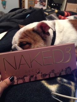 sugarbabylifee:  Giving away a new Naked 3 pallet!  Must reblog