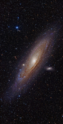 astronomicalwonders:  The Great Andromeda Galaxy  The Andromeda