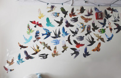 serendipity-precious:  le bird wall! by julia wang. on Flickr.
