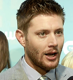 jensengifsdaily: Appreciation post of Jensen’s beard.