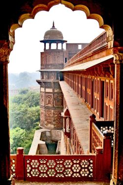 indiaincredible:  Agra Fort 