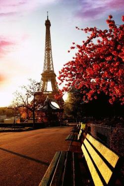sigo esperando París …