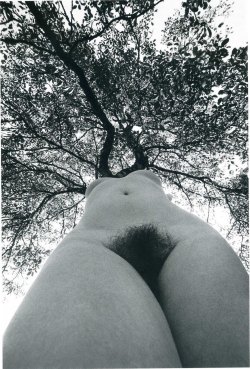 one-photo-day:  Lucien Clergue 