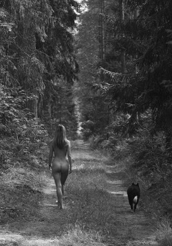 erotica-seven:  photo: Road through the forest… | photographer: