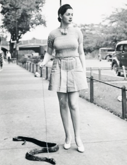 blackandwtf:  Late 1930s Burlesque dancer Zorita walks her pet