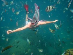 nickdouglas:  Fish photobomb! Snorkeler Photo - Thailand Wallpaper