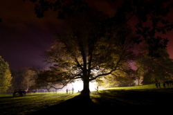 fuckyeahphotography:  Tree in Earlham Park, Norwich Charlie Wallis
