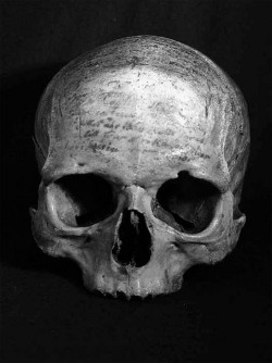 kreios:  The skull of Descartes. Across the forehead, in Swedish,