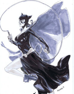 spoonr:  Classic Catwoman Artist: Peter V  Nguyen 