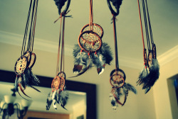 10knotes:  Submitted by backtoearth: Gotta have BAD dreamcatchers.