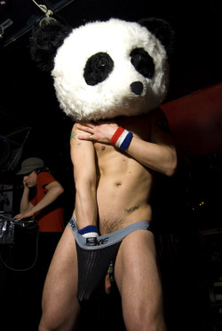 Panda a go-go…..