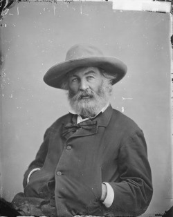 todaysdocument:  May 31 - Walt Whitman  “Walt Whitman, ca.