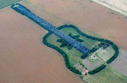 Guitar Tree Farm