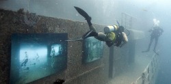 photojojo:  Austrian artist Andreas Franke, an avid diver and