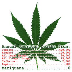 livefrombmore:  Yet weed is illegal  I know right? Legalize it!