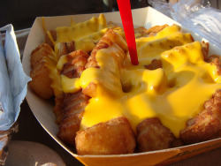 Them Cheese Fries