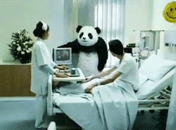 You have to watch the Panda cheese commercials on YouTube to