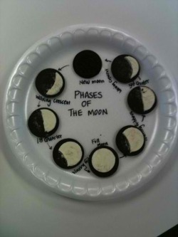 world-shaker:  Phases of the Moon 
