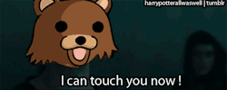 harrypotterallwaswell:   I can touch you now ϟ  