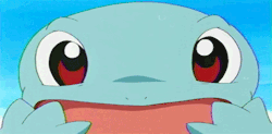 koyanami: I really did turn into a Squirtle.