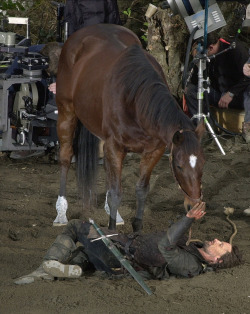 hellolizzi:  erin-louise:  Viggo bonded so much with the horse