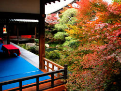 organicbody:  EikandoZenrin-ji (Temple of Forest of Zen)Kyoto,