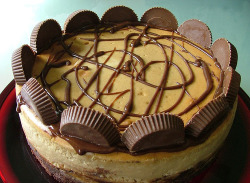 thecakebar:  Peanut butter cup brownie bottom cheesecake! Recipe: