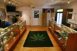 thatsgoodweed:  like a kid and a candy store 