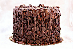 upsideumop:  neekaisweird:  Chocolate Wasted Cake (by artofdessert)