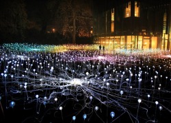 bitchville:  Bruce Munro has fitted 5,000 glass spheres in the