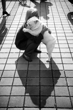 xtina412:  Dogs need hugs too! 