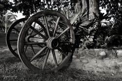 cactusynopales-blog: wheel in the ranch. 