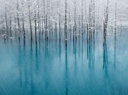 nationalgeographicdaily:  Blue Pond, HokkaidoPhoto: Kent Shiraishi
