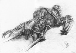 fluxstation: Figure drawing skeleton study. Paul Schwarz. Traditional