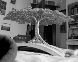  tree sculpture created by Kevin Iris out of aluminum alloy wire