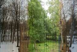 stop-hodoring:   A picture in 365 slices. Each slice is one day