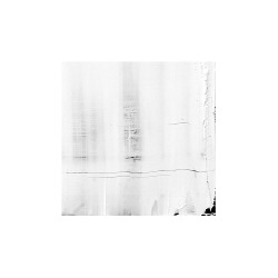  Gerhard Richter Detail: White2006 