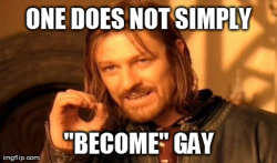 lgbtqgmh:   [Boromir meme: One does not simply “become” gay]