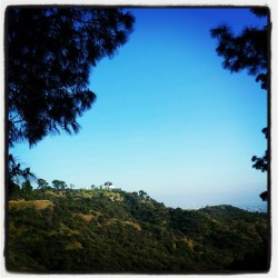Griffith Observatory  (Taken with instagram)