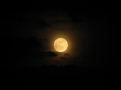 hypattia:   Supermoon 2012 Photos: Big Full Moon Views from Around