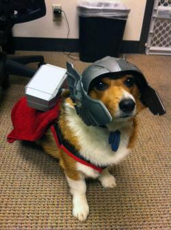 criacow:  allaboutmanga:  arcaneimages:  Thorgi  This is for