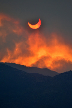 ikenbot:  Eclipse, seen through the smoke of the wildfires near