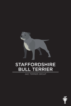 dogadayproject:  Staffordshire Bull Terrier 