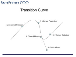 Transition Curve authored by Cameron Herold