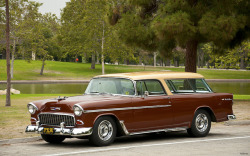 sic56:  1955 Chevrolet Bel Air Nomad with Rally Wheels - gold